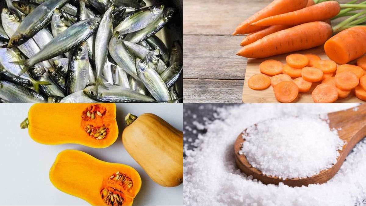 Cách Làm Pate Cho Mèo Đơn Giản Từ Cá Thu