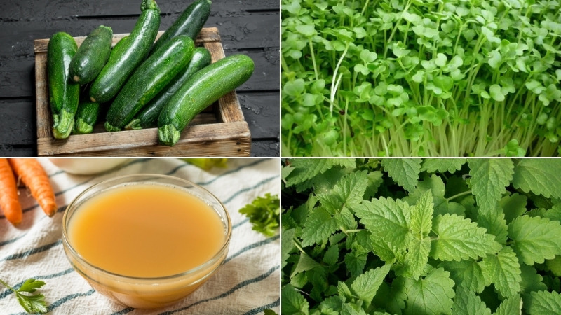 Cách làm pate cho mèo đơn giản
