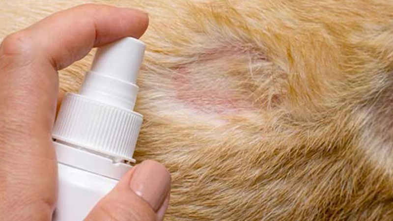 Mảng hói và tổn thương trên da