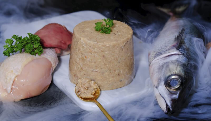 Cách Làm Pate Cho Mèo Kén Ăn Ngay Tại Nhà