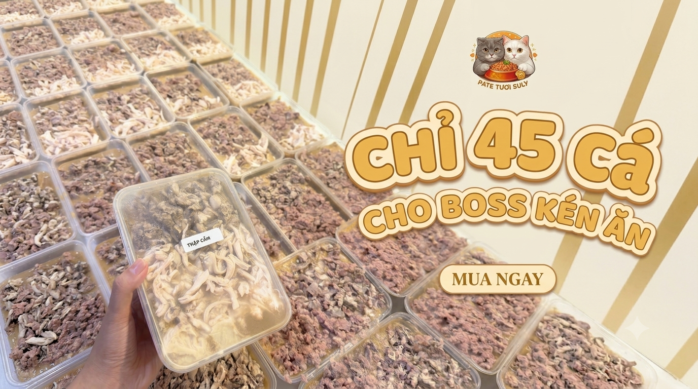 Pate thập cẩm chỉ với 45 cành