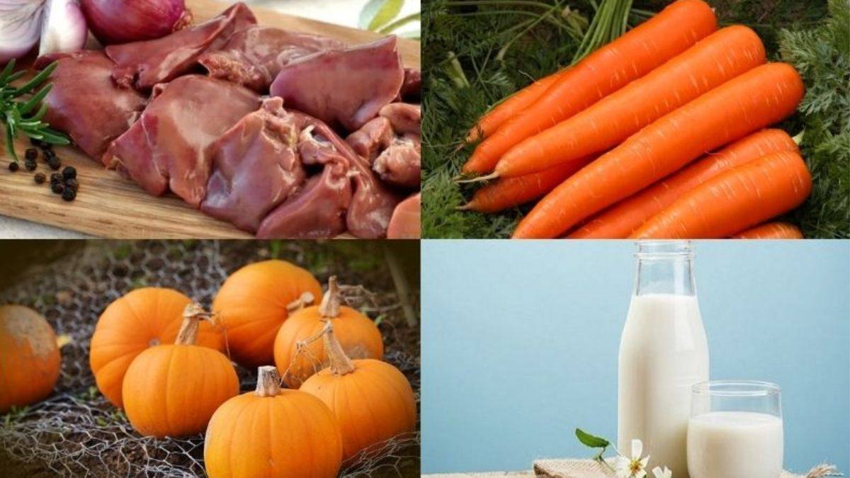 Công thức làm pate dễ tiêu hóa cho mèo
